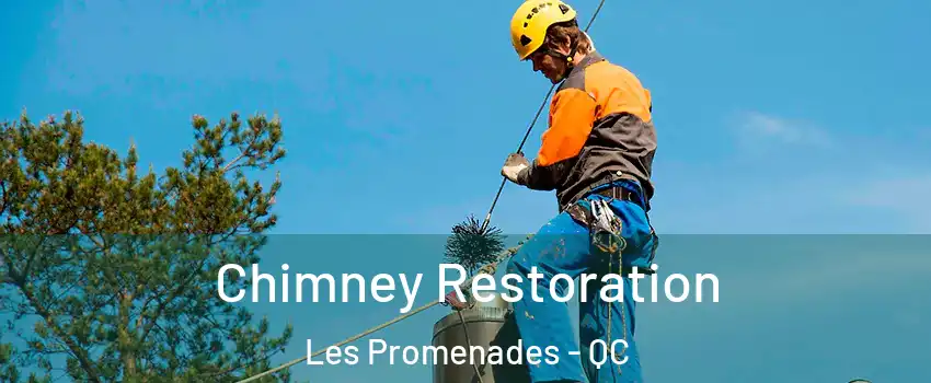  Chimney Restoration Les Promenades - QC