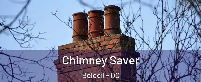  Chimney Saver Beloeil - QC