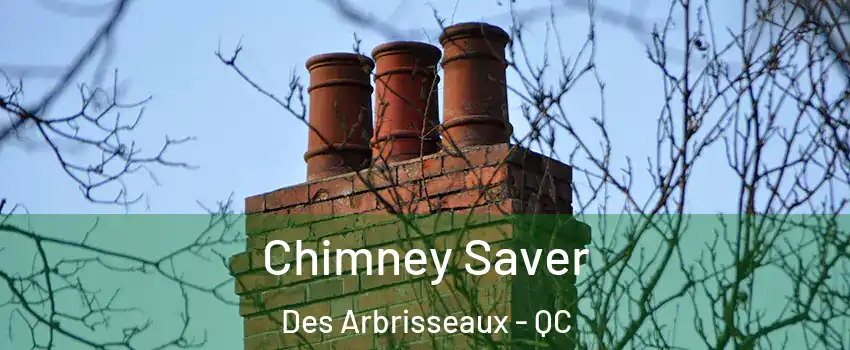  Chimney Saver Des Arbrisseaux - QC