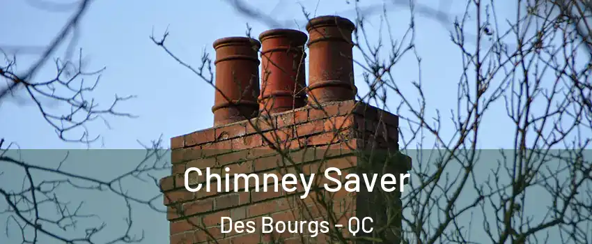  Chimney Saver Des Bourgs - QC