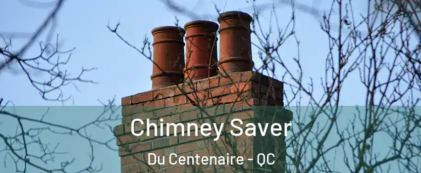  Chimney Saver Du Centenaire - QC
