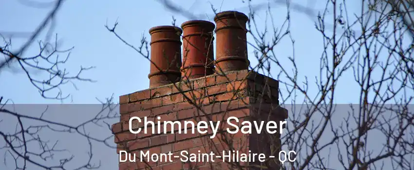  Chimney Saver Du Mont-Saint-Hilaire - QC
