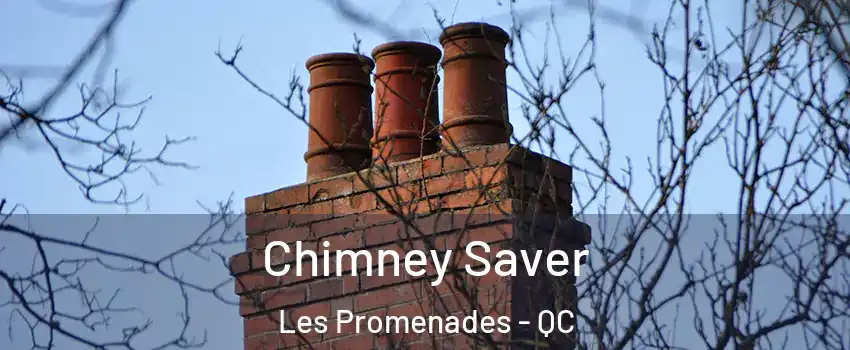  Chimney Saver Les Promenades - QC