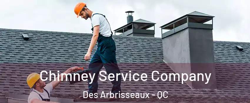  Chimney Service Company Des Arbrisseaux - QC