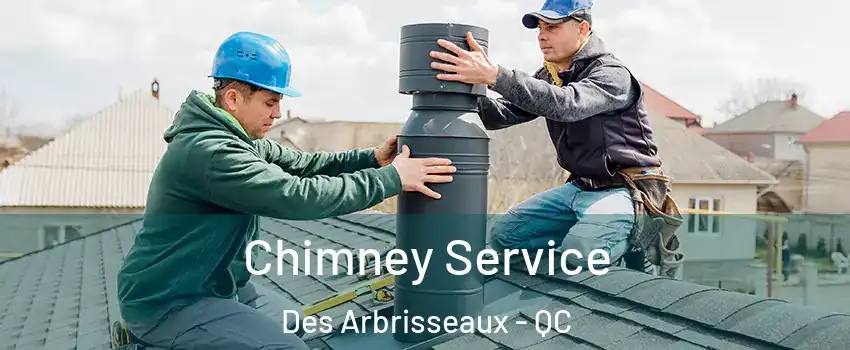  Chimney Service Des Arbrisseaux - QC