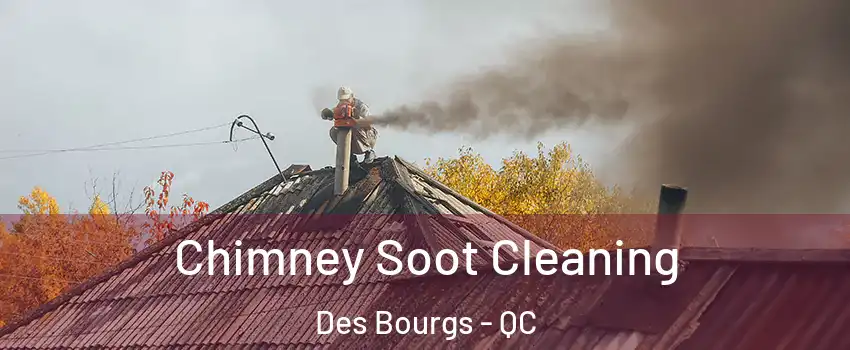  Chimney Soot Cleaning Des Bourgs - QC