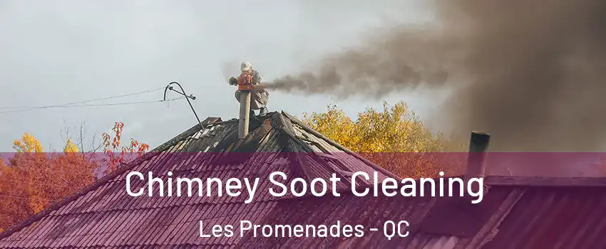  Chimney Soot Cleaning Les Promenades - QC