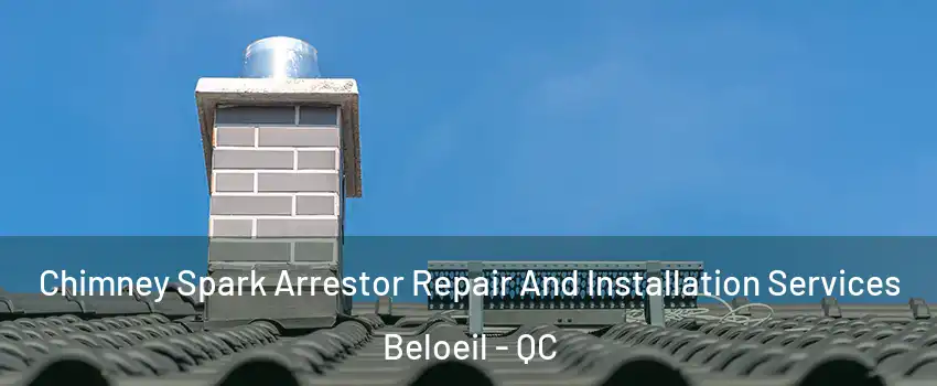  Chimney Spark Arrestor Repair And Installation Services Beloeil - QC