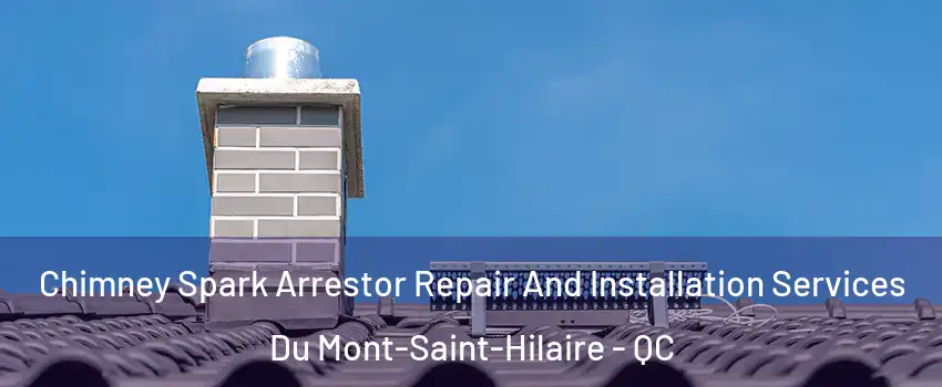  Chimney Spark Arrestor Repair And Installation Services Du Mont-Saint-Hilaire - QC