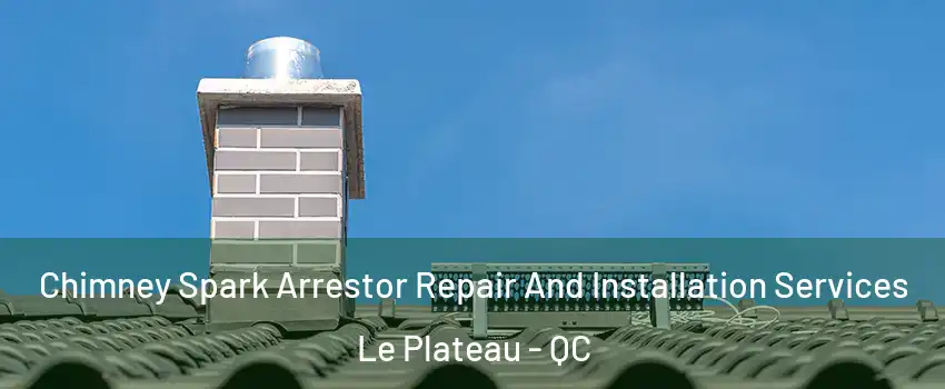  Chimney Spark Arrestor Repair And Installation Services Le Plateau - QC