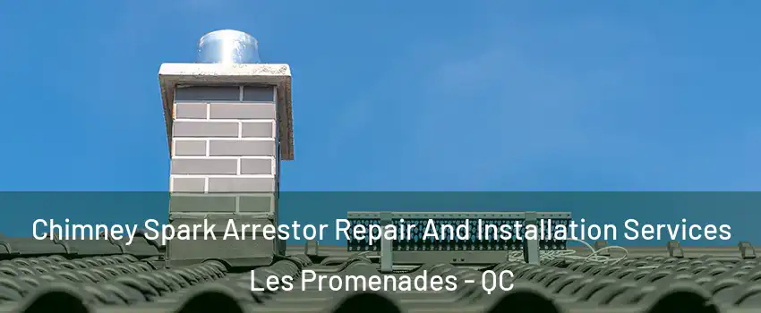  Chimney Spark Arrestor Repair And Installation Services Les Promenades - QC