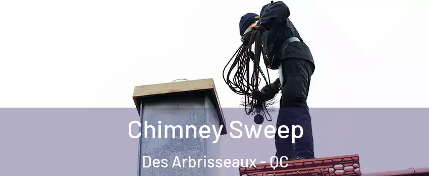  Chimney Sweep Des Arbrisseaux - QC