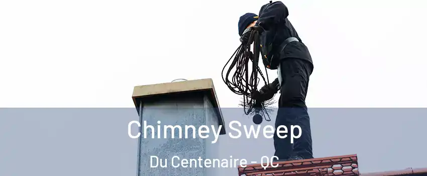  Chimney Sweep Du Centenaire - QC