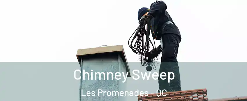  Chimney Sweep Les Promenades - QC
