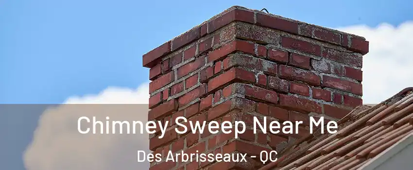  Chimney Sweep Near Me Des Arbrisseaux - QC