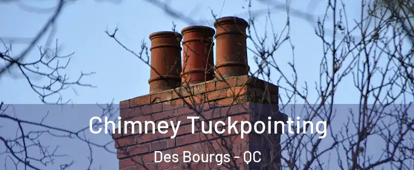  Chimney Tuckpointing Des Bourgs - QC