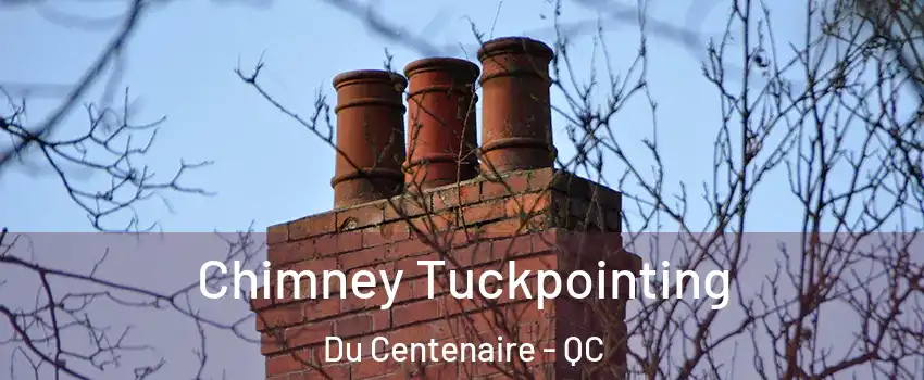  Chimney Tuckpointing Du Centenaire - QC
