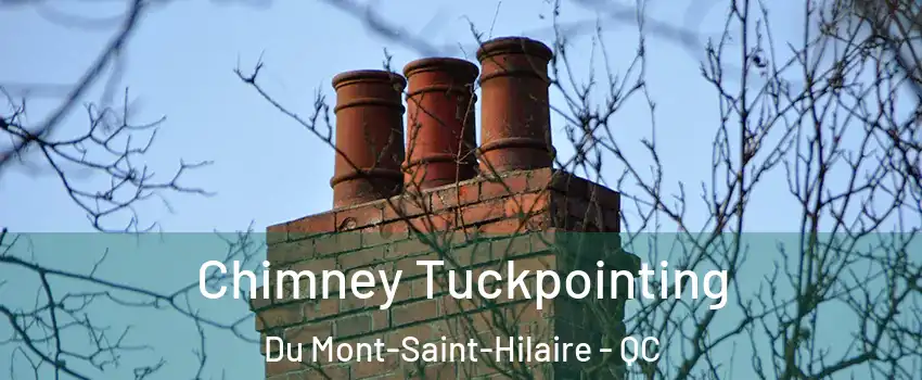  Chimney Tuckpointing Du Mont-Saint-Hilaire - QC