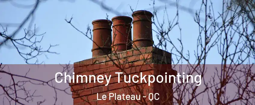  Chimney Tuckpointing Le Plateau - QC