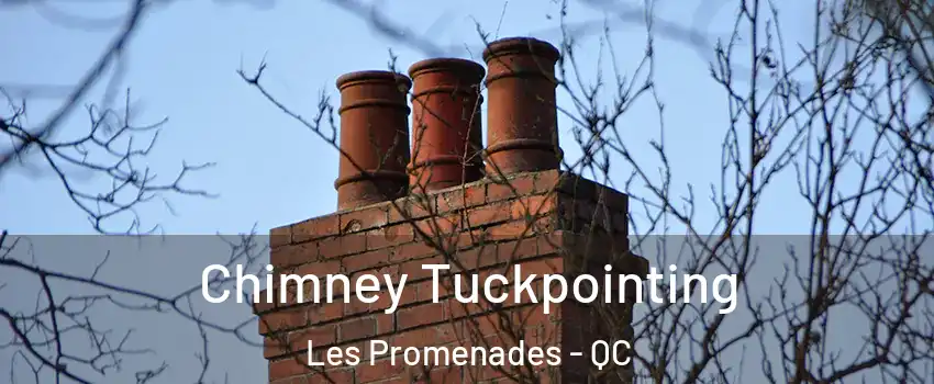  Chimney Tuckpointing Les Promenades - QC