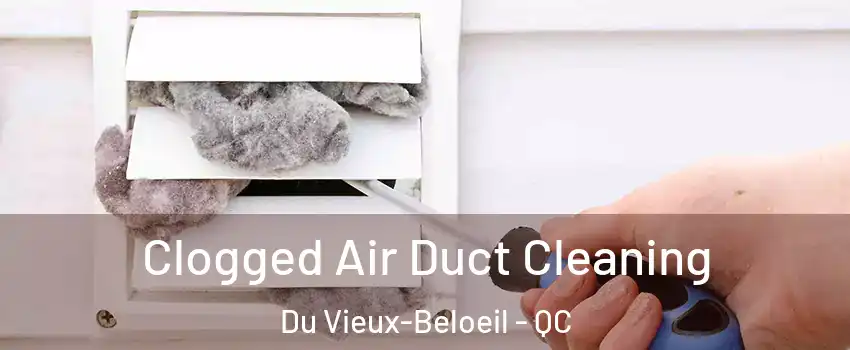  Clogged Air Duct Cleaning Du Vieux-Beloeil - QC