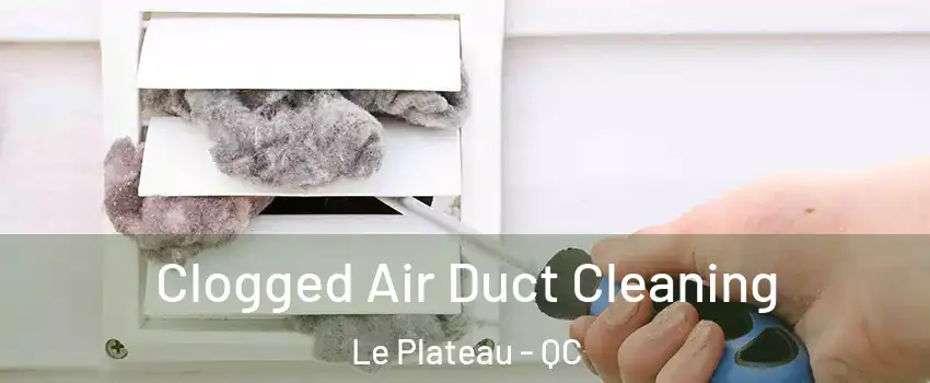  Clogged Air Duct Cleaning Le Plateau - QC