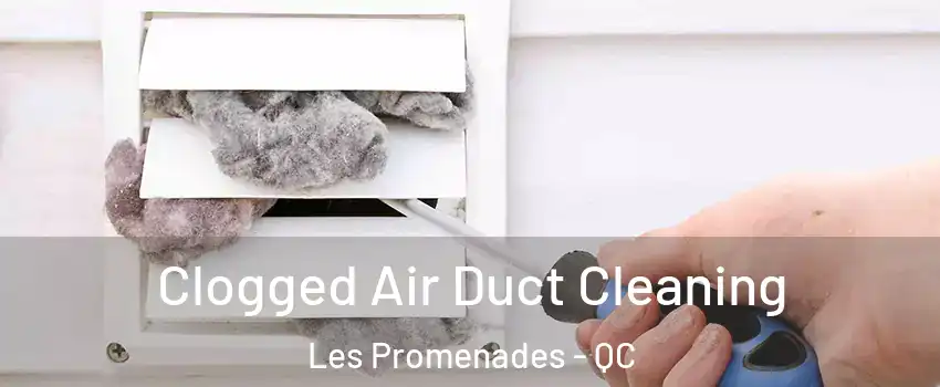  Clogged Air Duct Cleaning Les Promenades - QC