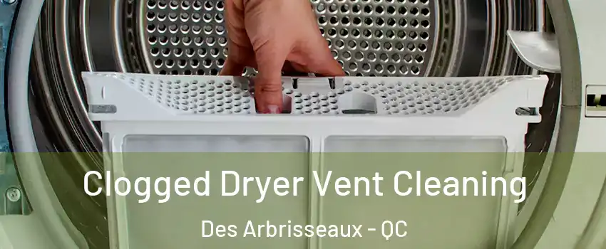  Clogged Dryer Vent Cleaning Des Arbrisseaux - QC