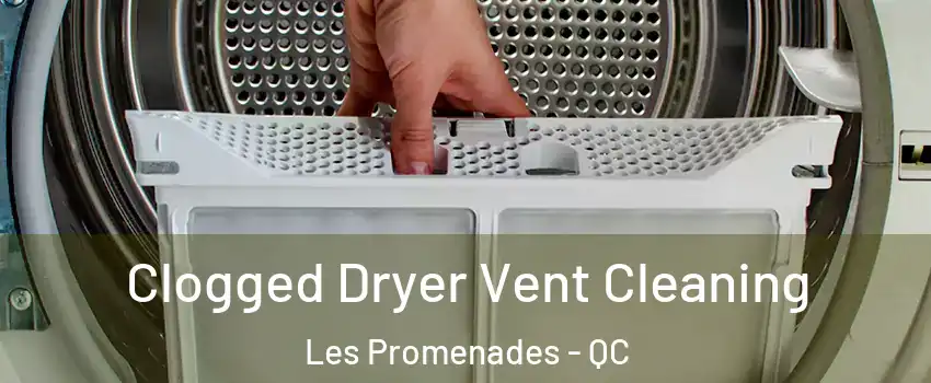  Clogged Dryer Vent Cleaning Les Promenades - QC