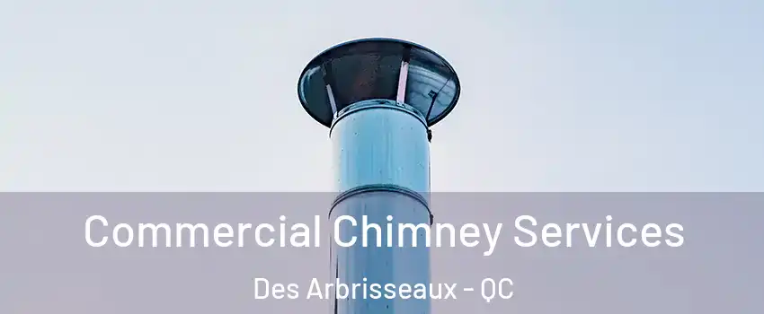  Commercial Chimney Services Des Arbrisseaux - QC