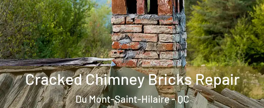  Cracked Chimney Bricks Repair Du Mont-Saint-Hilaire - QC