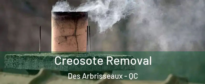  Creosote Removal Des Arbrisseaux - QC