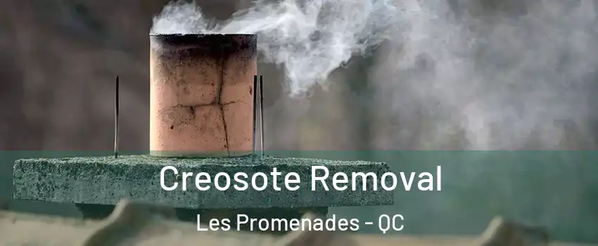 Creosote Removal Les Promenades - QC