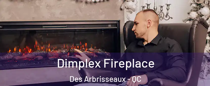  Dimplex Fireplace Des Arbrisseaux - QC
