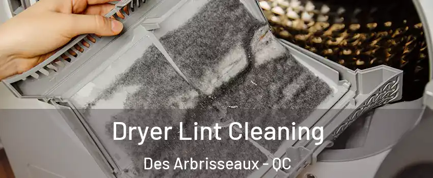  Dryer Lint Cleaning Des Arbrisseaux - QC