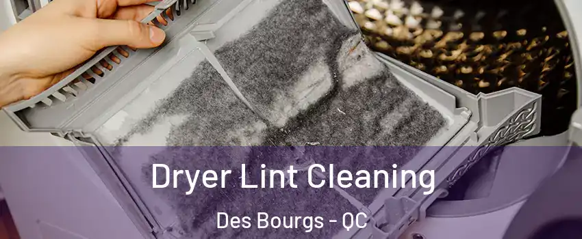  Dryer Lint Cleaning Des Bourgs - QC