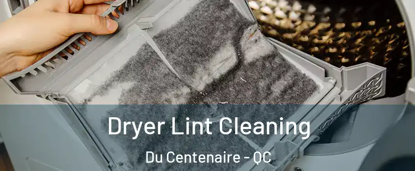  Dryer Lint Cleaning Du Centenaire - QC