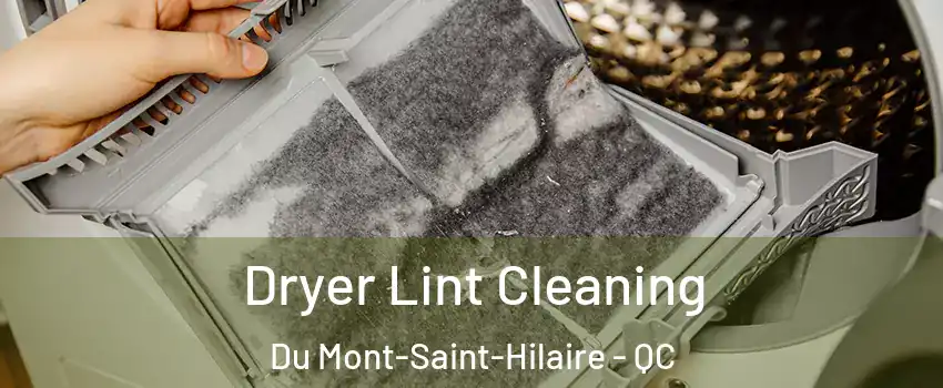  Dryer Lint Cleaning Du Mont-Saint-Hilaire - QC