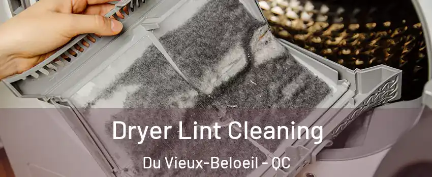  Dryer Lint Cleaning Du Vieux-Beloeil - QC