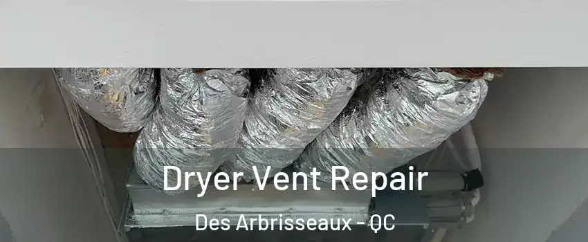  Dryer Vent Repair Des Arbrisseaux - QC