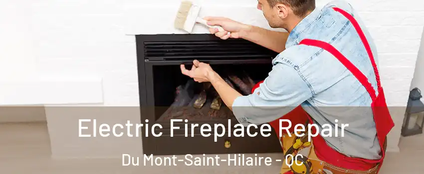  Electric Fireplace Repair Du Mont-Saint-Hilaire - QC