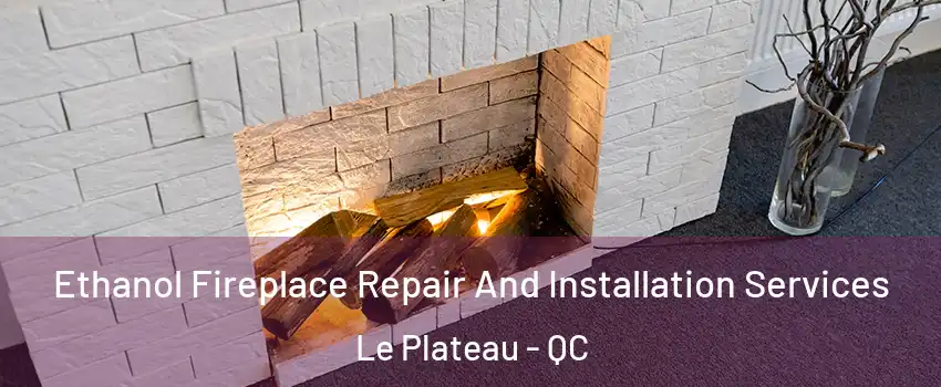  Ethanol Fireplace Repair And Installation Services Le Plateau - QC