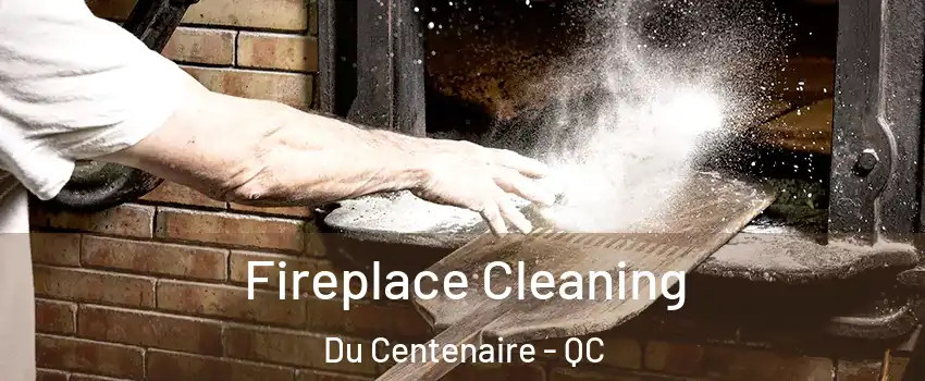  Fireplace Cleaning Du Centenaire - QC
