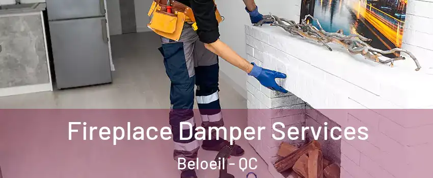  Fireplace Damper Services Beloeil - QC