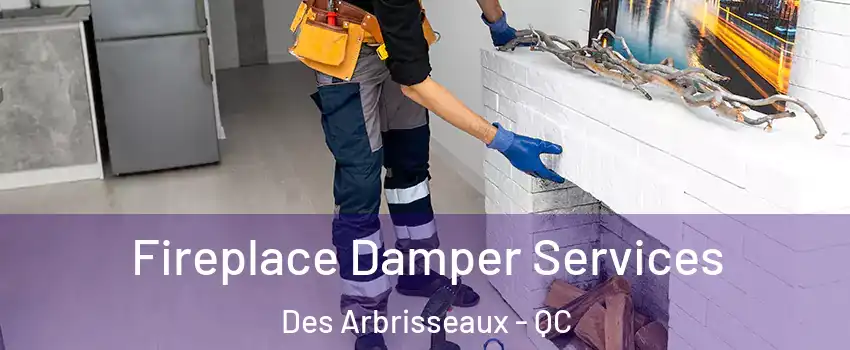  Fireplace Damper Services Des Arbrisseaux - QC