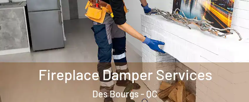  Fireplace Damper Services Des Bourgs - QC
