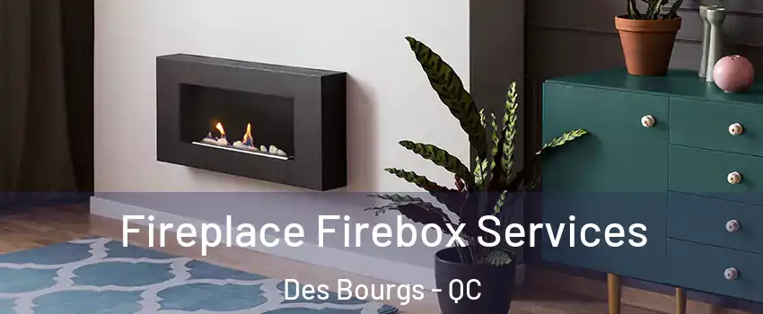  Fireplace Firebox Services Des Bourgs - QC