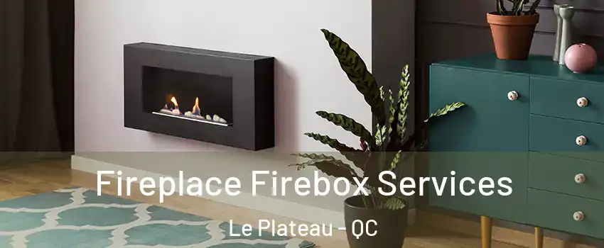  Fireplace Firebox Services Le Plateau - QC