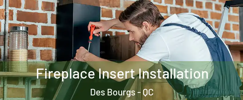  Fireplace Insert Installation Des Bourgs - QC