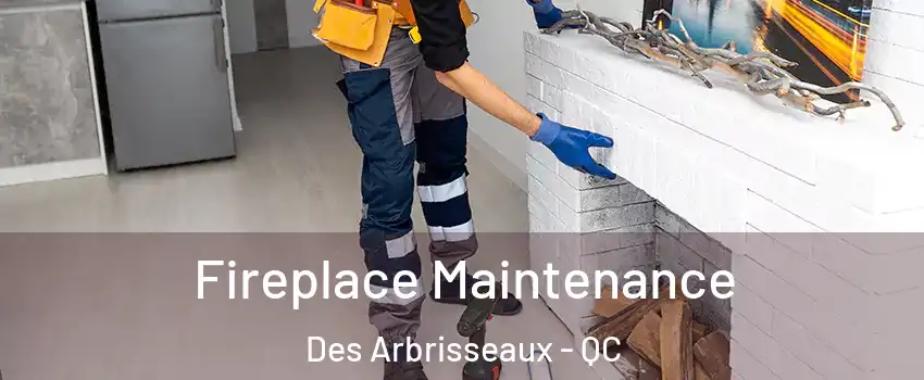  Fireplace Maintenance Des Arbrisseaux - QC